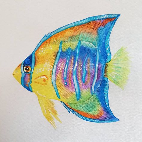 Angel Fish Drawing, Queen Angelfish, Sorority Paddles, Fish Drawing, Underwater Art, Fish Drawings, Angel Fish, Watercolor Ideas, Paddles