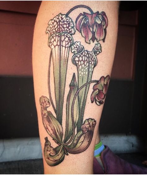 Kirsten Holliday tattoo from wonderland tattoo Plants Tattoo, Wonderland Tattoo, Trendy Plants, Skeleton Hand Tattoo, Plant Tattoo, Paper Vase, Botanical Tattoo, Pitcher Plant, Carnivorous Plants