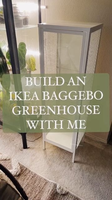 🍃🪴 LAZY IKEA GREENHOUSE FOR YA 🪴🍃 ... Baggebo edition. I seriously can't wait to buy more plants and fill this bad boi!!!! What plants should I buy? PS: Add a fan and your cabinet will pretty much be good to go. If you're lazy like me, air it out daily and poke holes in the soil to make sure they get that airflow going. Ikea Greenhouse Cabinet Vegetables, Ikea Cabinet For Plants, Ikea Hack Greenhouse, Diy Ikea Plant Cabinet, Indoor Plant Enclosure, Ikea Plant Hack, Ikea Hacks Plants, Diy Plant Cabinet Indoor, Ikea Baggebo Greenhouse