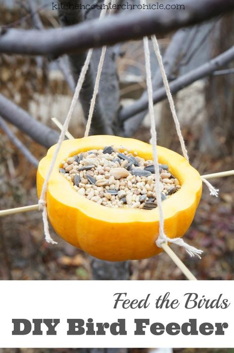 How to make a homemade bird feeder - Feed the birds this winter (or all year round) with this simple diy bird feeder. Made from something you probably already have at home. A fun winter craft for kids. Homemade Bird Feeder, Bird Feeders For Kids To Make, Make A Bird Feeder, Fun Winter Crafts, Homemade Bird Houses, Homemade Bird Feeders, Bird House Kits, Bird Aviary, Diy Bird Feeder