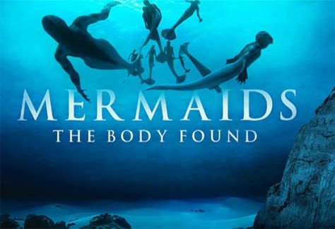 discovery channel mermaids | ... TV: Mermaids on the Discovery Channel Jim Vorel Herald-Review.com Mermaids The Body Found, Real Life Mermaids, Real Mermaids, Discovery Channel, Fairy Book, Marine Biology, Fairy Land, Animal Planet, In Water