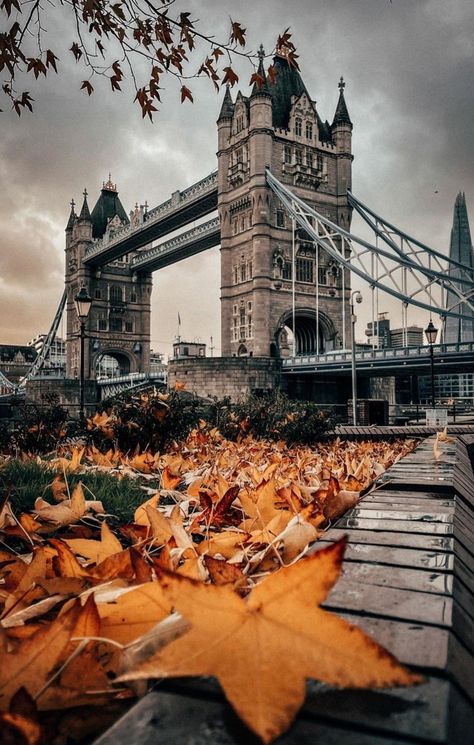 Fall In London, London Images, London Tower Bridge, Pinterest Pictures, London Wallpaper, City Life Photography, London Tower, Aesthetic London, London Dreams