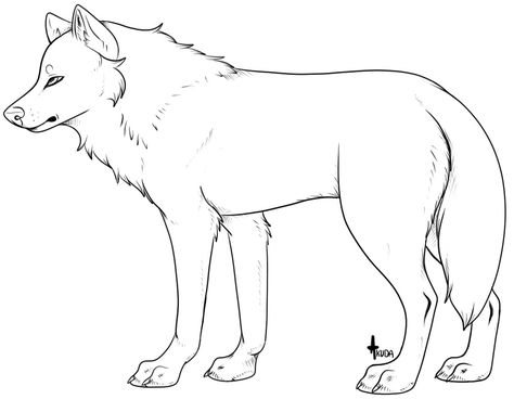 Wolf Lineart, Wolf Outline, What Is Good Friday, Wolf Base, Trans Day Of Visibility, Rational Expressions, Body Template, Drawing Template, Make A Character