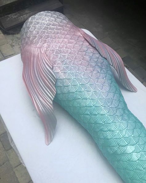 Pearlescent Mermaid Tail, Pink And Blue Mermaid Tail, Opal Mermaid Tail, Light Blue Mermaid Tail, Blue Mermaid Tail, Mermaid Tales, Mermaid Pearl, Mermaid Ideas, Shell Crowns