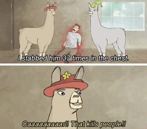 Llamas in hats Charlie The Unicorn, Hat Quotes, Llamas With Hats, Sports Memes, Kill People, Funny Sayings, Best Funny Pictures, New Memes, Tumbling