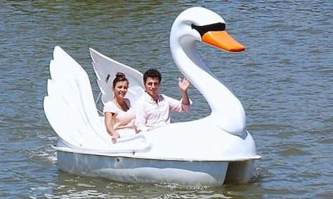 Swan Paddle Boat Rentals on Lady Bird Lake in Austin Swan Boat, Pedal Boats, Pedal Boat, Wakeboard Boats, Day Date Ideas, Lady Bird Lake, Duck Boat, Mute Swan, Pillow Party