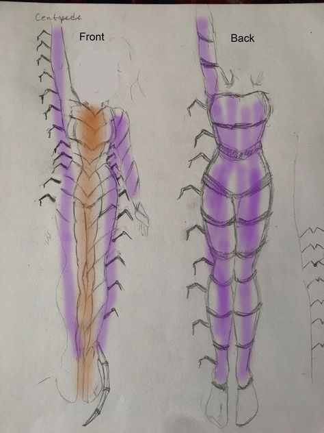 Costume sketch for centipede Centipede Drawing Art, Centipede Costume, Centipede Clothes, Cool Centipede Tattoo, Centipede Jewelry, Fright Night, Sketch, Humanoid Sketch, Art