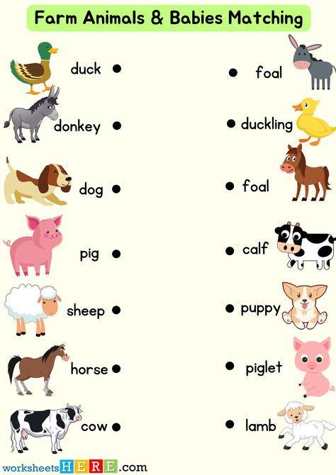 Farm Animals and Babies Matching Activity PDF Worksheet For Kids - WorksheetsHere.com Worksheet Animals For Kids, Animals And Their Babies Worksheet, Farm Animals Worksheets For Kids, Farm Animal Worksheet, Animal Worksheets For Kids, Farm Activities Preschool, Nursery School Activities, Animals And Their Homes, Mother And Baby Animals