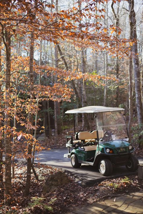 We Celebrated 10 Years at Blackberry Farm Blackberry Farm Tennessee, Blackberry Mountain, Farm Property, Blackberry Farm, Blackberry Farms, Carolina Mountains, North Carolina Mountains, White Picket Fence, Anniversary Trips