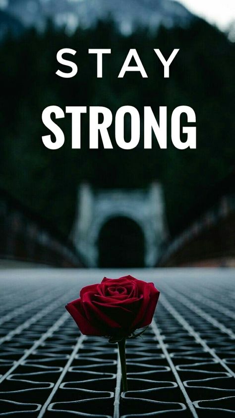 Strong Woman Wallpaper, Stay Strong Wallpaper, God Gives Me Strength Quotes, Kids Brunch, Stay Strong Quotes, Strength Quotes, Wolf Quotes, Wolf Photos, Quick Healthy Breakfast