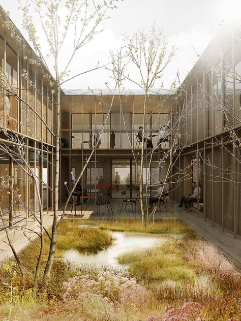 Architecture Courtyard, Interior Courtyard, Psychiatric Hospital, Easy Landscaping, Architecture Graphics, First Prize, Hospital Design, Garden Architecture, Rain Garden