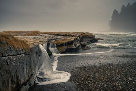 Rocky Shoreline, Water Playground, Forest Road, Secret Places, Sand Castle, Vancouver Island, Beach Themes, British Columbia, Wall Mural