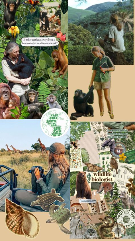 Zoologist Career, Vet School Motivation, Environmental Scientist, Wildlife Biologist, Vet Medicine, College Motivation, Eco Life, Environmental Studies, Magical Life