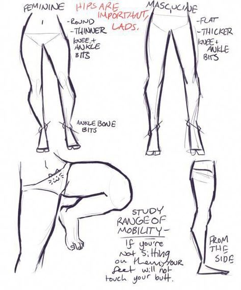 Leg Reference, Female Legs, Drawing Legs, Body Reference Drawing, Anatomy Drawing, Poses References, Figure Drawing Reference, Anatomy Reference, Anatomy Art