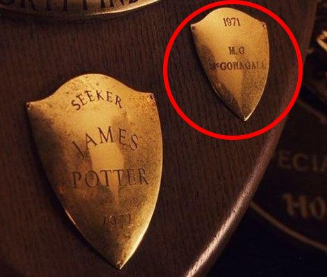 In The Sorcerer's Stone the Gryffindor Quidditch team plaque shows that Harry’s dad — and possibly a relative of Professor McGonagall’s named M.G. McGonagall — also played. Rolf Scamander, Meme Harry Potter, Film Harry Potter, Citate Harry Potter, Glume Harry Potter, Harry Potter Memes Hilarious, Harry Potter Puns, Neville Longbottom, The Prisoner Of Azkaban