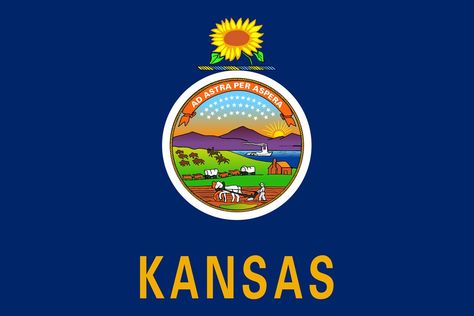 Kansas: A Unit Study | DIY Homeschooler Kansas Day, Kansas Flag, Street Banners, Sports Flags, Historical Flags, Louisiana Purchase, Military Flag, Flag Outfit, State Capitals