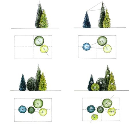 For multi-tiered schemes, trees and shrubs are chosen that don't cover or overlap the green array of the adjacent layer. Example: the classical scheme "boxwood" - "tuya", where the tier of a sheared boxwood 1.5' to 2' high does not cover the tuya tier up to almost 10'. In the 1-2 years after planting, tuja is cut only by lateral shoots. When ¾ of the height is reached, the thuja begins to cut the tip. Large Front Yard Landscaping, Evergreen Landscaping, Front Yard Design Ideas, Garden Home Ideas, Yard Design Ideas, Yard Landscape Ideas, Garden Front Yard, Front Yard Landscape, Ideas For Garden