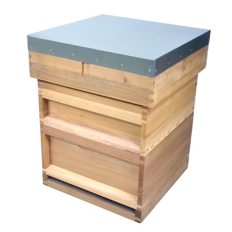 With Nails, Flat Roof, Main Page, Western Red Cedar, Flat Pack, Red Cedar, Bee Keeping, Bee Hive, The National