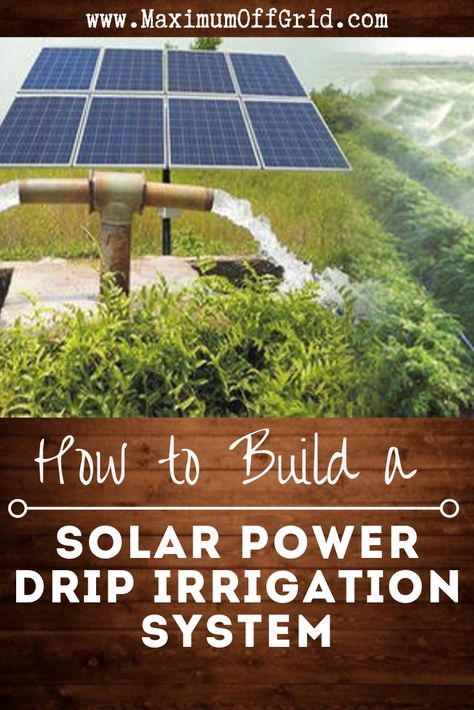 Combining solar power with your drip irrigation system makes for a complete off grid watering setup. My guide gives you step-by-step instructions on how to set one up! Solar Drip Irrigation, Irrigation Diy, Drip Irrigation Diy, Museum Of Curiosity, Water Irrigation, Watering Plants, Florida Gardening, Drip System, Farm Living