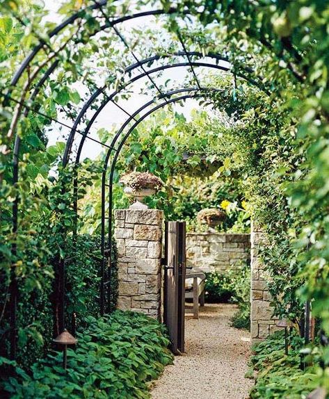 10 Fun Vertical Gardening Ideas - Gardening Channel Metal Arbor, Garden Arch Trellis, Arch Trellis, Metal Pergola, Garden Vines, Garden Arches, Garden Arbor, Garden Entrance, Backyard Pergola