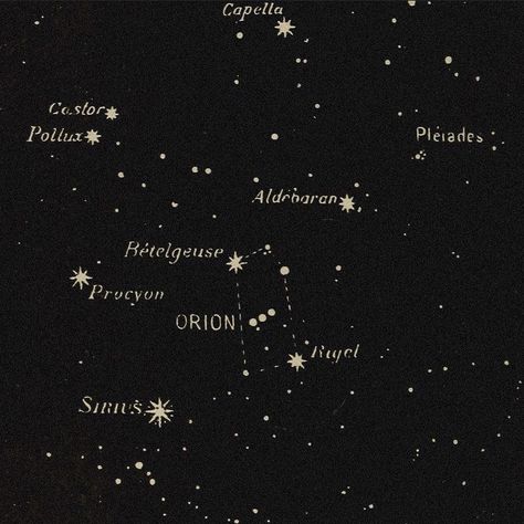 Orion Zodiac Academy, Lance Orion Zodiac, Zodiac Academy, Regulus Black, All The Young Dudes, Star Constellations, Black Families, Fete Anime, Mischief Managed