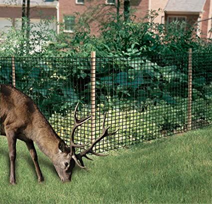 Dalen Gardeneer Deer Netting – Polypropylene Mesh Deer Defense – Enhanced Durability and Sturdiness – Easy DIY Installation Garden Animal Barrier Deer Netting, Deer Repellant, Tears Design, Deer Fence, Bird Netting, Garden Animals, Metal Fence, Backyard Fences, Garden Edging