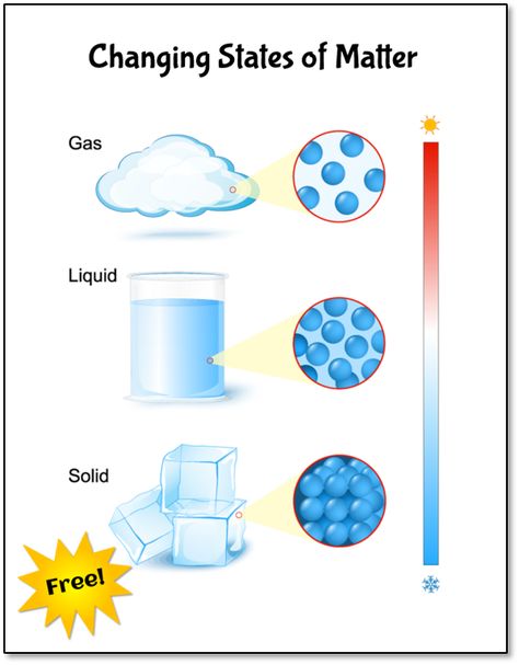 What is condensation and where does it come from? This free Condensation Investigation is a great way for kids to answer those questions and learn about the water cycle! Changing States Of Matter, The Water Cycle, Primary Science, Matter Science, Science Notebooks, Interactive Science Notebook, States Of Matter, High School Science, Water Cycle