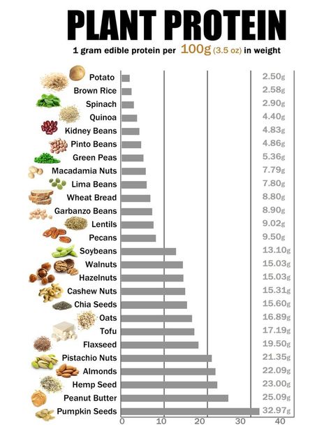 protein chart vegetable | Plant Protein Chart Pt.I Protein Food Chart, Protein Chart, Protein Foods List, High Protein Vegetables, Protein Vegetables, Plant Proteins, Protein Food, Food Chart, Vegetarian Protein