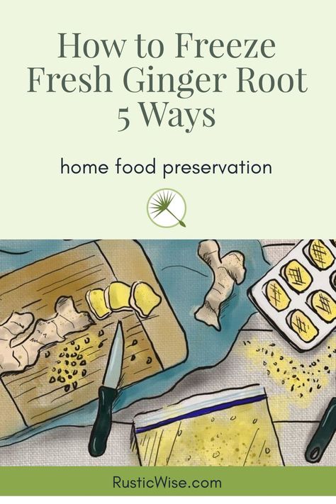 How To Use Fresh Ginger Root, What To Make With Ginger Root, Can You Freeze Ginger Root, How To Preserve Ginger Root, Fresh Ginger Recipes Drinks, How To Preserve Fresh Ginger Root, Preserve Ginger Root, How To Grate Ginger Root, How To Clean Ginger Root