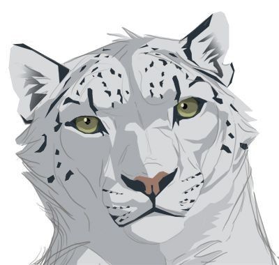 Snow Leopard Drawing, I Care A Lot, Got Art, Leopard Drawing, I Need To Change, Art Place, Leopard Face, Drawing Cartoon Faces, Drawing Animals