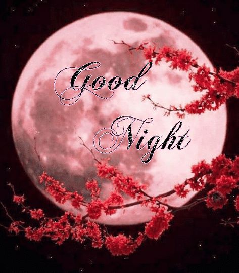 Night Love Quotes, Good Night Sleep Tight, Good Night Wallpaper, Good Night Love Quotes, Good Night Beautiful, Good Evening Greetings, Romantic Good Night, Beautiful Good Night Images, Good Night Flowers