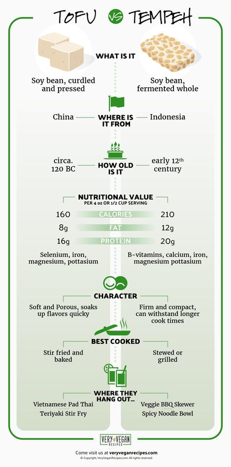 Tempeh Vs Tofu, What Is Tempeh, Fermenting Veggies, Vegetarian Facts, Tofu Protein, Plant Based Protein Sources, Vegan Journey, Simple Infographic, Vegetarian Protein Sources