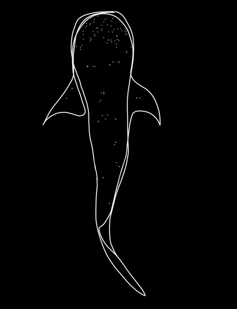 Whale Shark Outline Tattoo, Whale Shark Line Tattoo, Whale Shark Fine Line Tattoo, Whale Shark Line Art, Simple Whale Shark Tattoo, Shark Outline Tattoo Simple, Whale Shark Outline, Whale Shark Drawing, Humpback Whale Tattoo