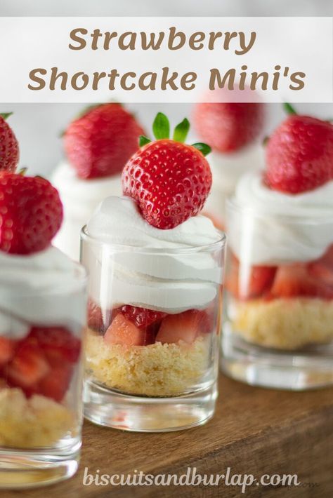 Biscuits & Burlap's recipe for individual strawberry shortcakes includes macerated strawberries. #minidesserts #individualdesserts #strawberryshortcake #maceratedstrawberries Wedding Shower Desserts, Mini Strawberry Shortcake, Buttermilk Biscuits Easy, Strawberry Shortcakes, Champagne Cupcakes, Bridal Shower Desserts, Strawberry Shortcake Party, Strawberry Baby, Shower Desserts