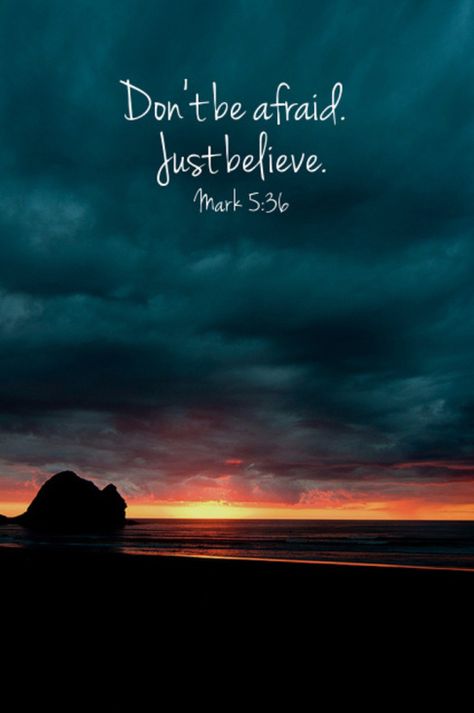 I know sometimes people struggle with inner battles to be great in life. If no one has ever told you then allow me, You WILL be phenomenal and I believe in you. A little faith can go a long ways. D... Ayat Alkitab, Ayat Al-quran, Just Believe, Faith Inspiration, Don't Be Afraid, Spiritual Inspiration, Verse Quotes, Bible Verses Quotes, Quotes About God