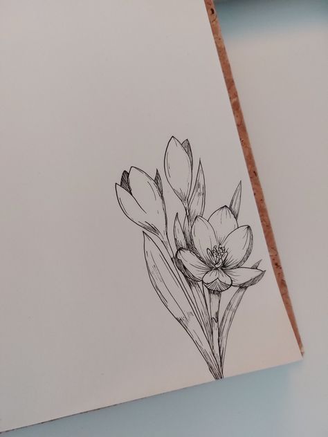 Micron Pen Art Flowers, Micron Pen Art Simple, Micron Pen Art Doodles, Micron Sketches, Crocus Drawing, Pen Drawings Aesthetic, Pen Flower Drawing, Drawing Ideas Pen, Flower Pen Drawing