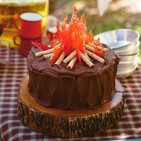 Campfire Cake, Indoor Kids, Camping Party, Camping Theme, Campfire, Chocolate Cake, Kids Party, Birthday Party, Camping