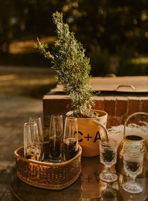 My husband and I did a unity tree ceremony where both of our parents and us poured soil into a plant and then him and I watered it together. It was unique and beautiful and perfect for our day. Tree Watering Wedding Ceremony, Boho Unity Ceremony Ideas, Unity Plant Ceremony, Tree Unity Ceremony, Wedding Ceremony Unity Ideas, Unique Unity Ceremony Ideas, Unity Ideas, Wedding Ceremony Unity, Final Countdown