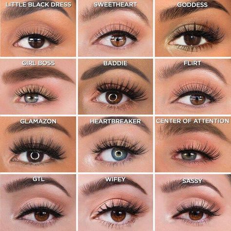 #Paralosojos Types Of Brown Eyes, Eyebrow Types, Type Of Lashes, Best Foundation For Oily Skin, Eye Makeup Glitter, Pro Lash, Lash Collection, Natural Fake Eyelashes, Eye Makeup Images