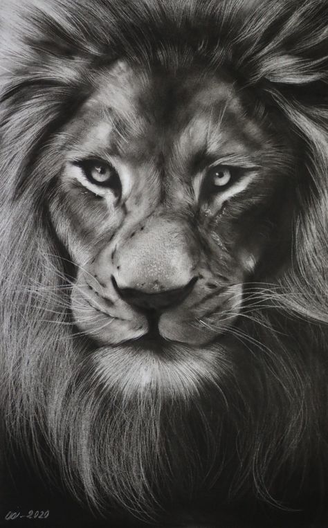 Pencil drawing for beginners Sketching Of Animals, Hyper Realistic Charcoal Drawings, Charcoal Portrait Sketches, Charcoal Art Animals, Coal Drawing Easy, Charcoal Art Sketches, Charcoal Sketches Realistic, Charcoal Portrait Realistic, Hyper Realistic Sketches