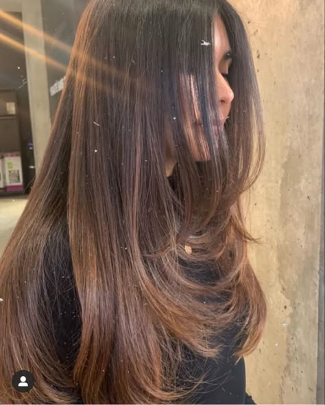 Haircut Layers, Brown Hair Inspo, Haircuts Straight Hair, Long Layered Hair, Haircuts For Long Hair, Hair Inspo Color, Long Hair Cuts, Aesthetic Hair, Hairstyles Haircuts