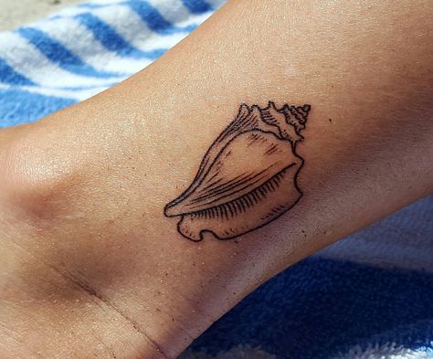 My Key West Conch Shell Moana Shell Tattoo, Traditional Conch Shell Tattoo, Conk Shell Tattoos, Queen Conch Shell Tattoo, Tiny Conch Shell Tattoo, Olive Shell Tattoo, Horse Conch Shell Tattoo, Small Conch Shell Tattoo, Conch Tattoo Shell