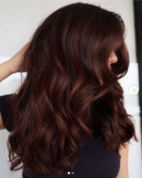 Dark Copper Brown Hair With Highlights, Dark Auburn Balayage Brunettes, Dark Brown Auburn Hair Balayage, Cinnamon Spice Brunette, Dark Brown Hair Balayage Fall, Brunette With Auburn, Dark Brown Hair Red Highlights, Dark Brown Hair With Auburn Highlights, Brown Hair With Auburn Highlights