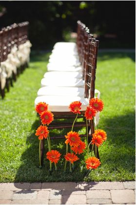 cute aisle pews - sprouting gerber daisies Growing Aisle Wedding, Aisle Ground Flowers, Wedding Aisle With Flowers, Wedding Ground Flowers, Wedding Aisle Ground Flowers, Gerbera Wedding Decoration, Aisle Markers Wedding Outdoor Ceremony, Diy Aisle Flowers, Wedding Aisle Flowers On Ground