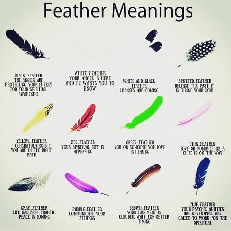 I have been finding Grey feathers for weeks. Do you find them? Spotted Feather Meaning, Grey Feather Meaning, Black Feather Meaning, White Feather Meaning, Feather Color Meaning, White Feather Tattoos, Feather Magic, Finding Feathers, Feather Tattoo Meaning