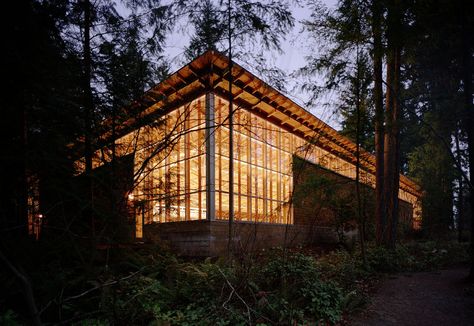 Pnw Design, Organic Office, Maple Valley Washington, Wa State, Brick In The Wall, Evergreen State, Washington Usa, Concept Ships, In The Forest