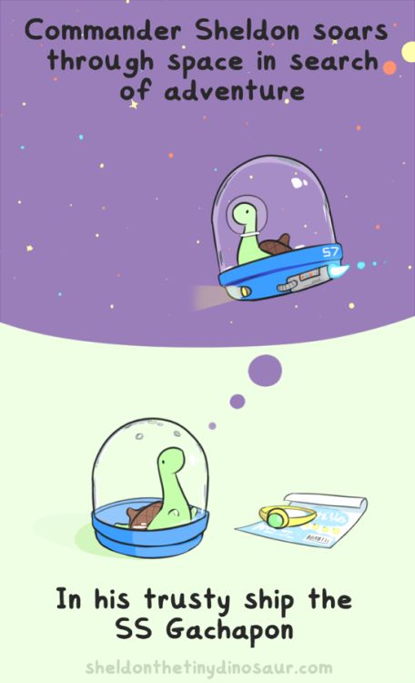 Space Ship Sheldon Comics, Sheldon The Tiny Dinosaur, Turtle Dinosaur, Turtle Photo, Lucario Pokemon, Tiny Dinosaur, Cartoon Strip, Tiny Turtle, Online Comics