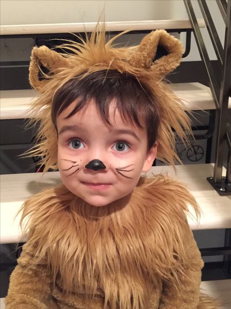 Kids Lion Face Paint, Lion Face Painting For Kids, Lion Makeup Kids, Easy Lion Face Paint, Lion Face Paint Easy, Kids Bear Costume, Lion Costume Women, Sorority Halloween Costumes, Lion Costumes