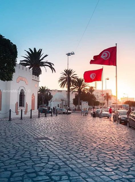 Tunisia Flag, Arab Culture, Exposure Photography, Tunisia, North Africa, Travel Agency, Tahiti, Nature Wallpaper, Beautiful Photography