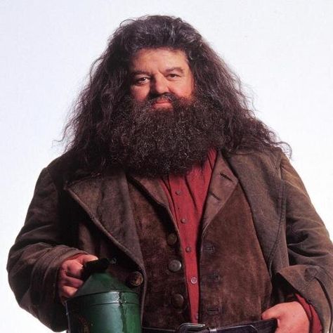 Hagrid Costume, Harry Potter Show, Harry Potter Wiki, Arthur Weasley, Robbie Coltrane, Rubeus Hagrid, Harry Potter Pin, Flash Gordon, Maggie Smith